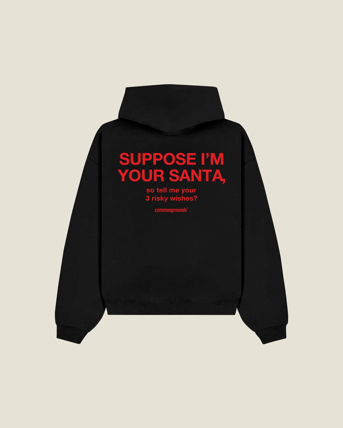 Suppose I'm Your Santa, So Tell Me Your 3 Risky Wishes? Hoodie in black, back print