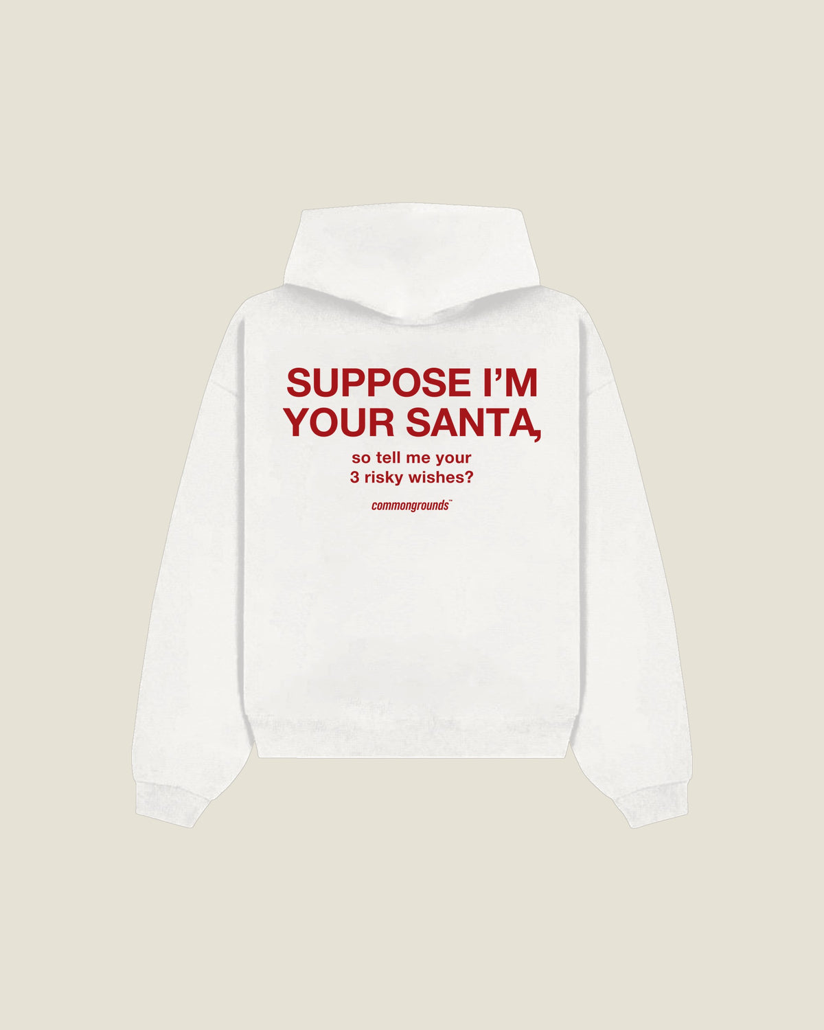 Suppose I'm Your Santa, So Tell Me Your 3 Risky Wishes? Hoodie in white, back print