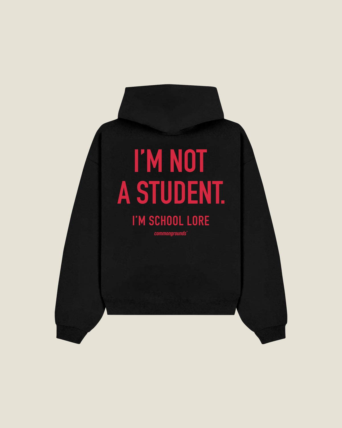 I'm Not A Student. I'm School Lore Hoodie in black, back print