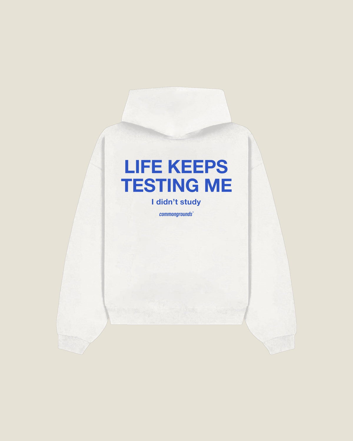 Life Keeps Testing Me I Didn't Study Hoodie in white, back print