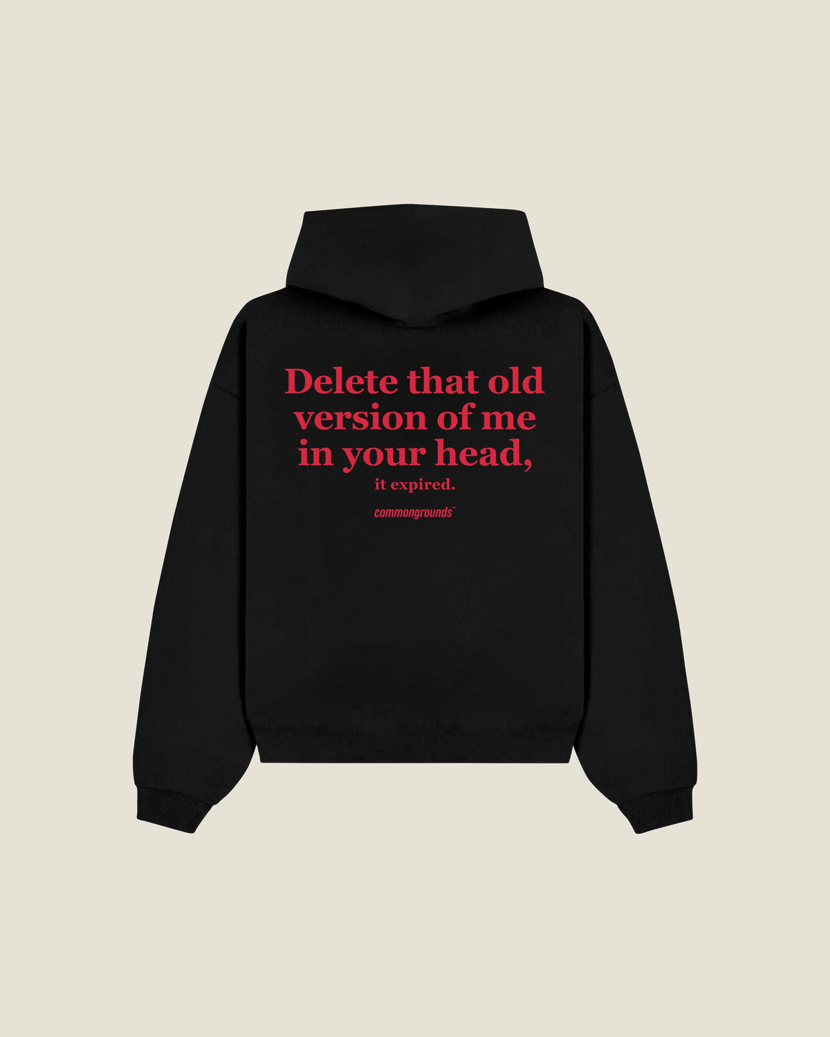 Delete That Old Version Of Me In Your Head, It Expired Hoodie in black, back print