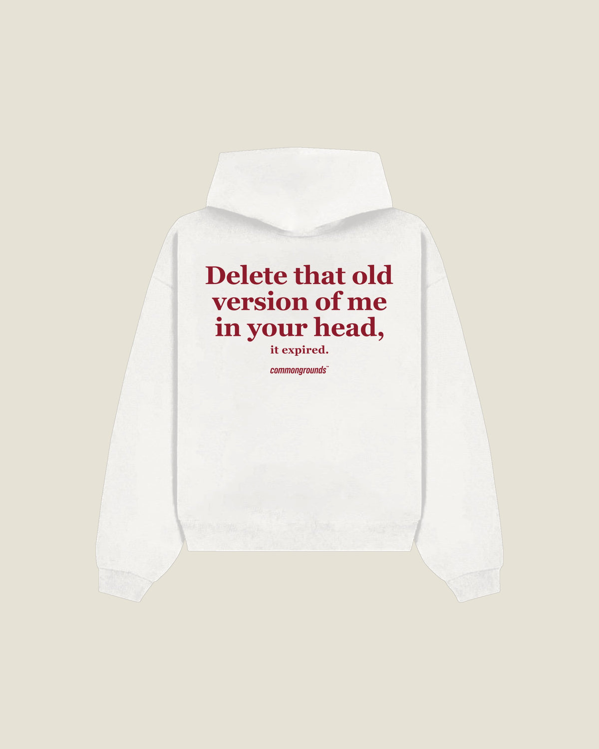 Delete That Old Version Of Me In Your Head, It Expired Hoodie in white, back print